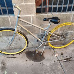 Novara Single Speed With Coaster Brake 