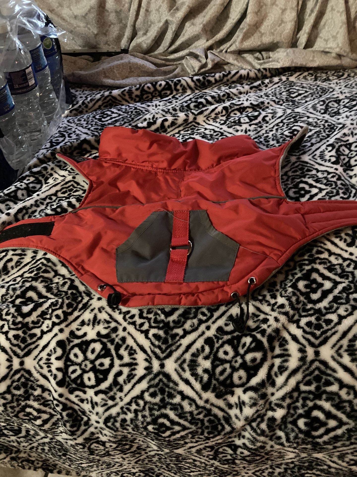 $5 Each Dog Coat Sz-XS Dresses Sz-S Bandana $3