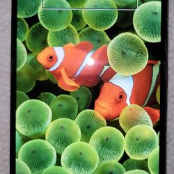 Iphone 15 PLUS Black W/ Case