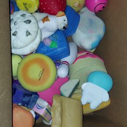 Squishy’s