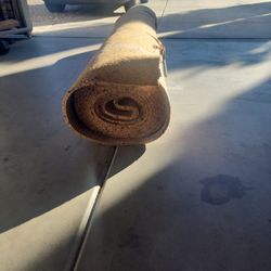 Carpet Foam