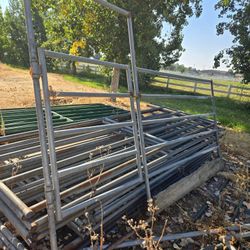 Horse Panels With Gate