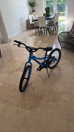 Trek Kids Blue bike