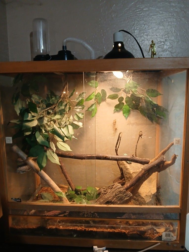 Natural Wood Reptile Enclosure