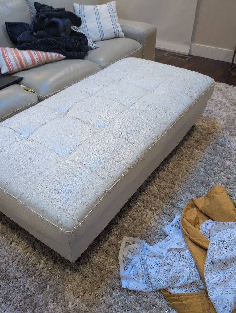 Free Sofa and Ottoman 