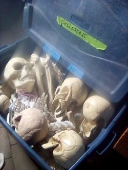 Halloween Skeleton Decorations Lot