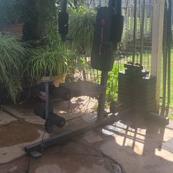 Weight Bench W/Weights