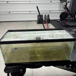 20 Gallon Fish Tank With Lid