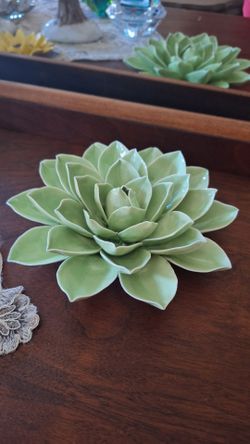 Ceramic succulent wall art 8"