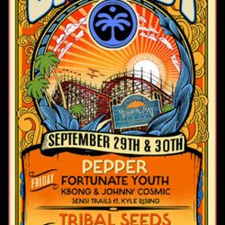 1 Electronic Ticket For Mission Bayfest Mission Bay Fest 2023 The Tribal Seeds Saturday Qr Code/ Barcode 