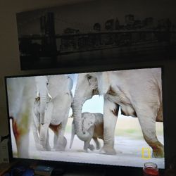 55 Inch Westinghouse Tv