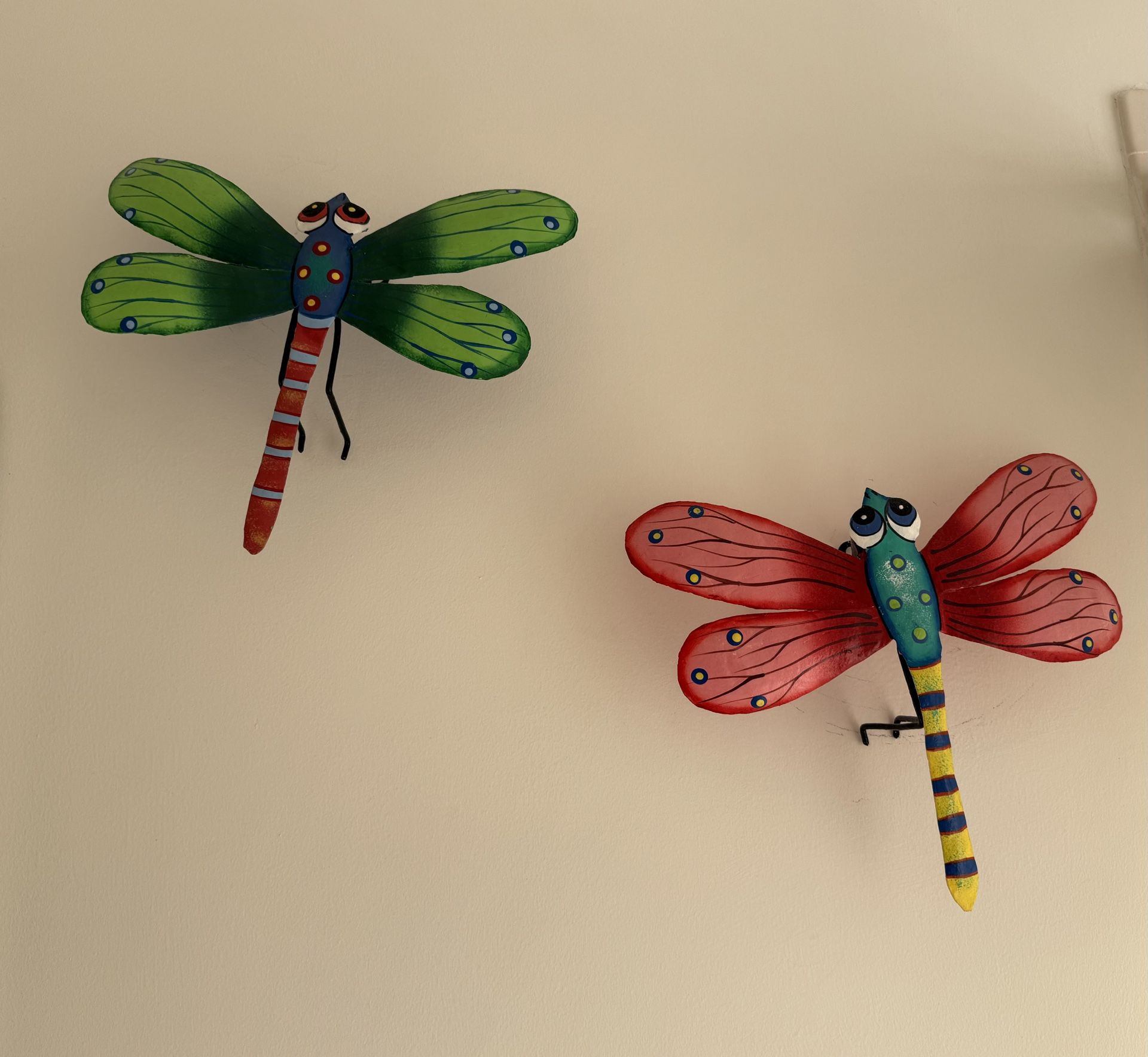 Beautiful Dragon Flies