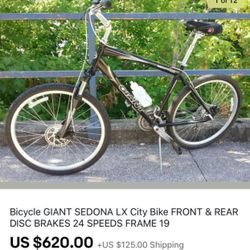 Giant Sedona Lx Bicycle Hybrid With Dual Disc Brakes And Computer. Price Reduced!