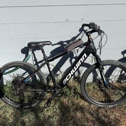 Schwinn Electric Bike 