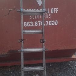 10' Folding Extension Ladder 