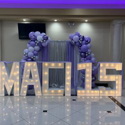 Quinceañera Birthday Decorations 