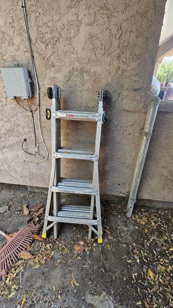 Gorilla Ladder 