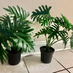 Ikea Monster Set Of Two Plants 