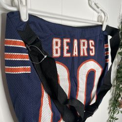 Chicago Bears NFL Mesh Jersey Shoulder Bag – ProFANity by Littlearth 