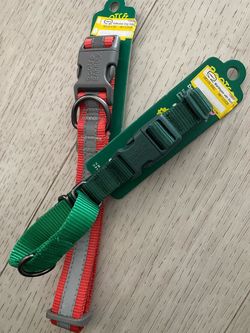 Boots & Barkley Dog Collars – Set of 2