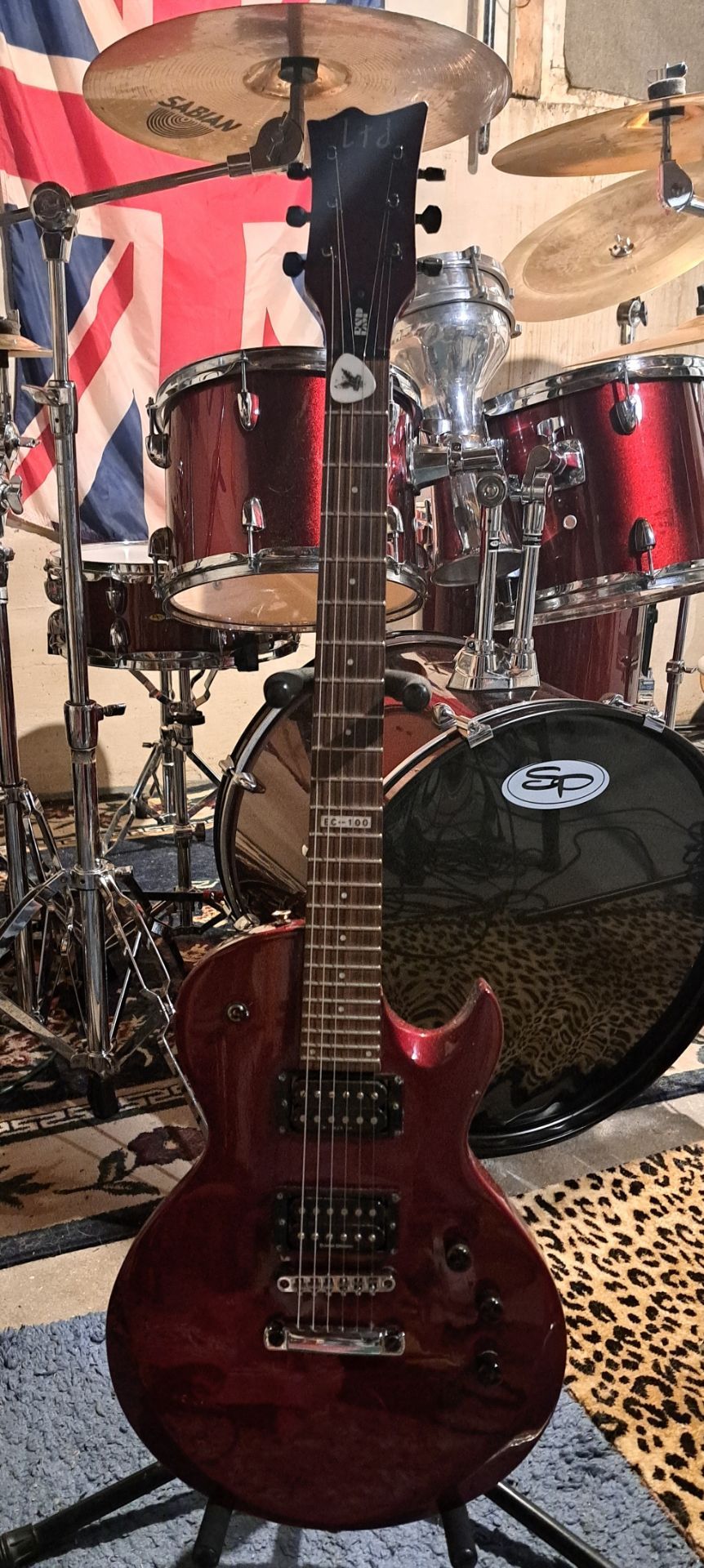 ESP LTD EC-100 Electric Guitar and Case