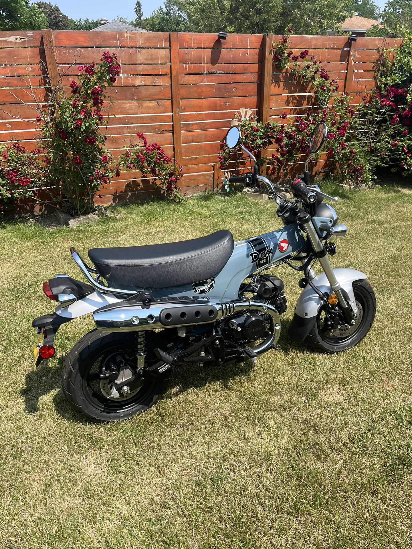 2025 Honda Dax 125