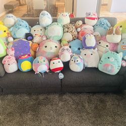 Squishmallows lot