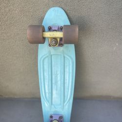 Penny Board Skateboard