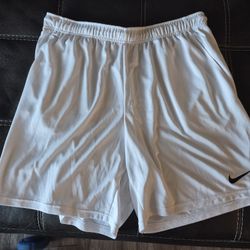 Nike Men's XXL Dri-fit Shorts