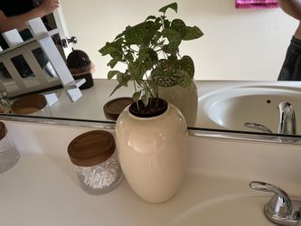 Simple Vase
