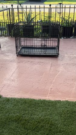 Cage small
