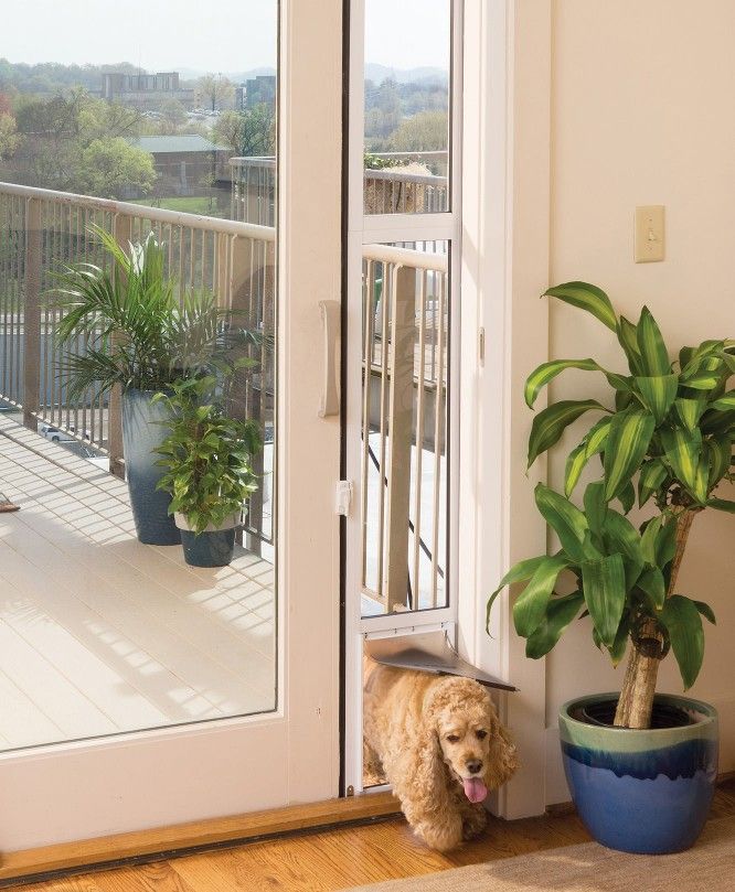 Sliding Glass Pet Door,
