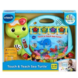 Touch & Teach Sea Turtle