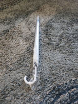Clear umbrella