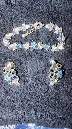 Blue germsterm set