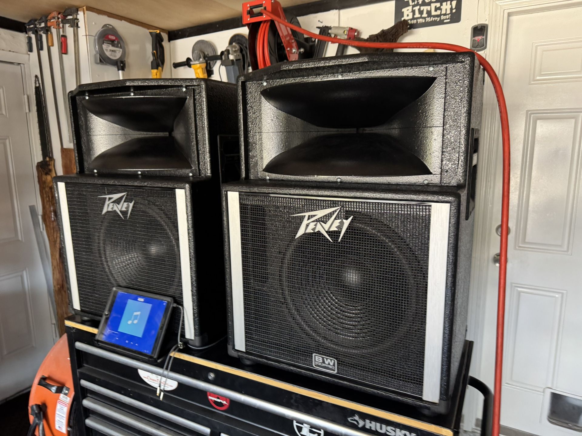 Peavey 15 Inch Reconditioned Speakers Upgraded With Binding Posts
