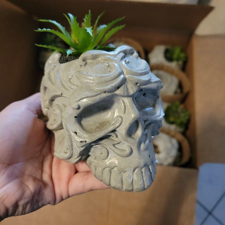 15 Cement Sculls With Fake Plants