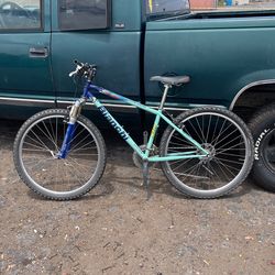 BIANCHI  Martini Racing 