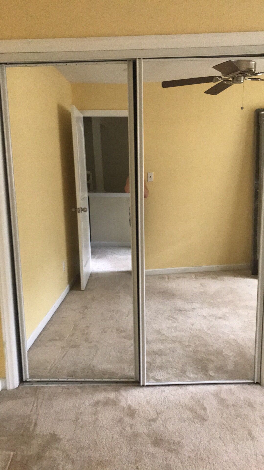 Mirrored Closet Doors 30 x 80 (each)