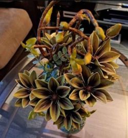 Vase from The Mosaic Magnolia Collection : Deep Olive Forrest @ Lasting Creations