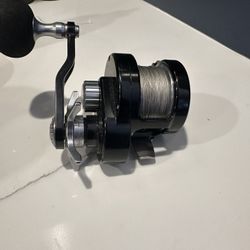 Maxxel 20 Hybrid  Conventional Jigging Reel