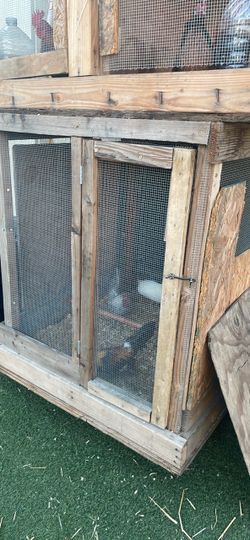 Chicken cages