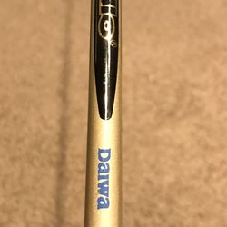 Daiwa Apollo Casting rod