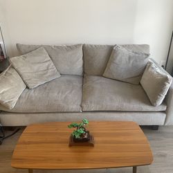 West Elm Sofa - Near New