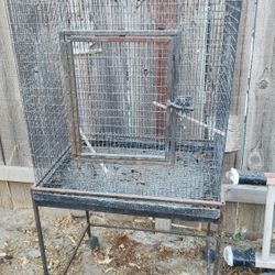Bird Cage 