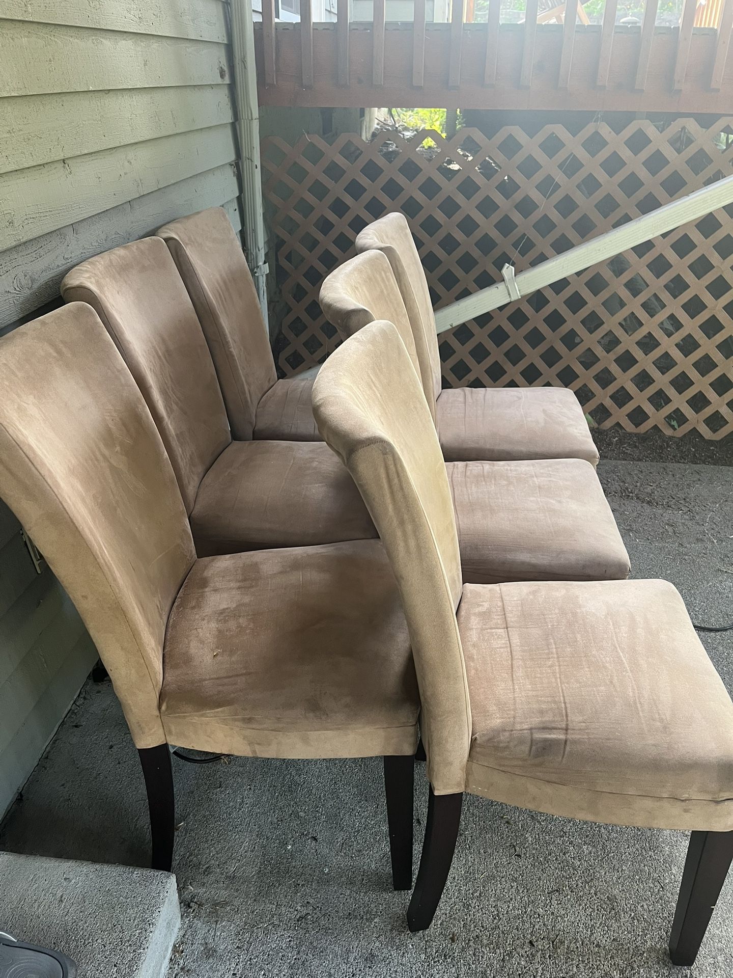 Dining Chairs (6)
