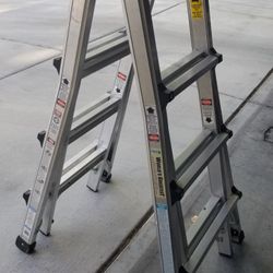 Cosco 17 Ft Ladder