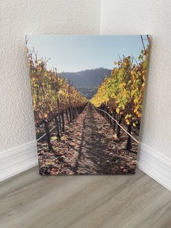 Canvas Art