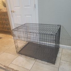 Dog Crate 