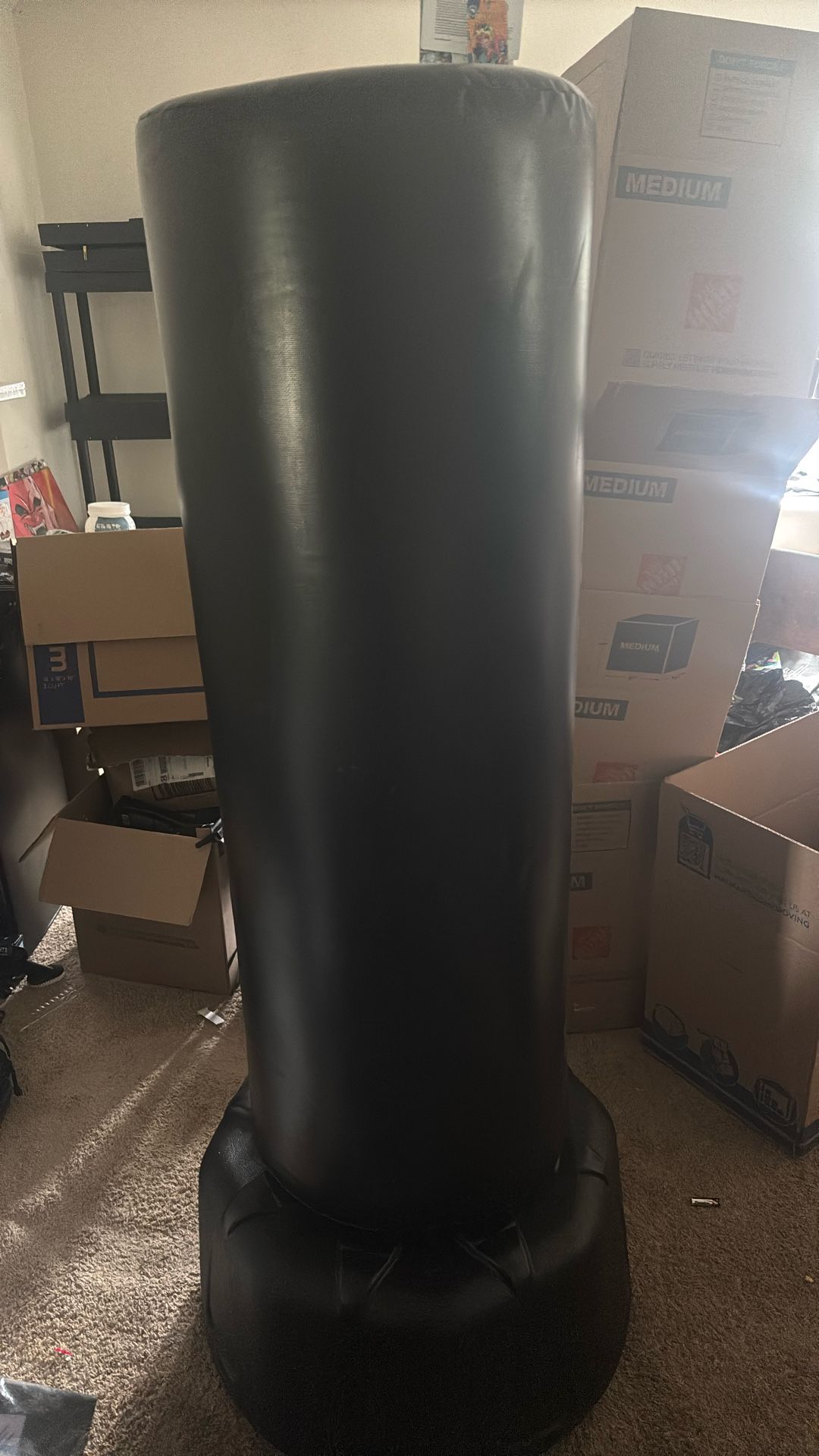 CENTURY punching bag